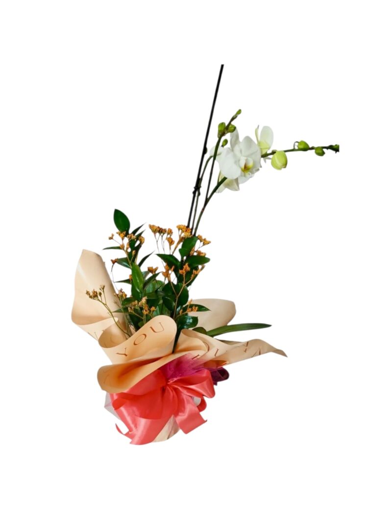 Orquídea Dulce Gratitud