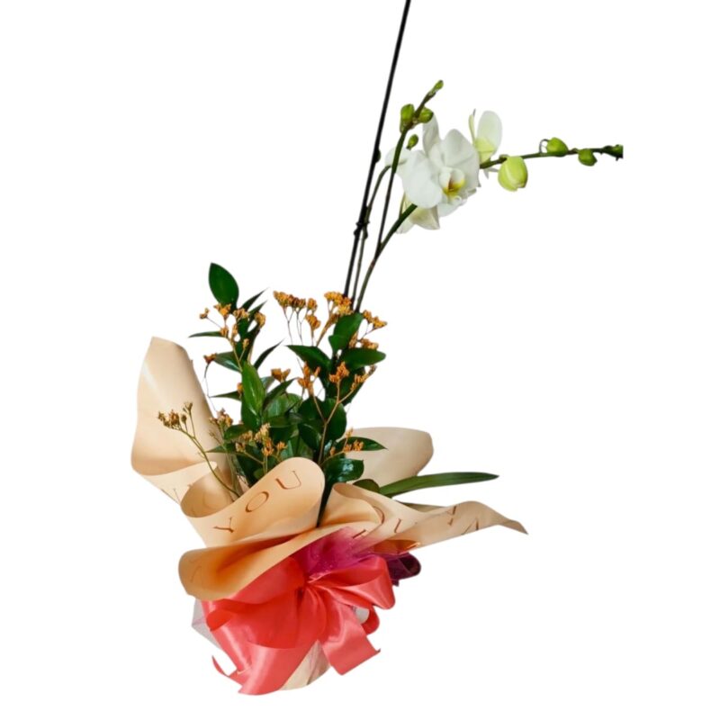 Orquídea Dulce Gratitud