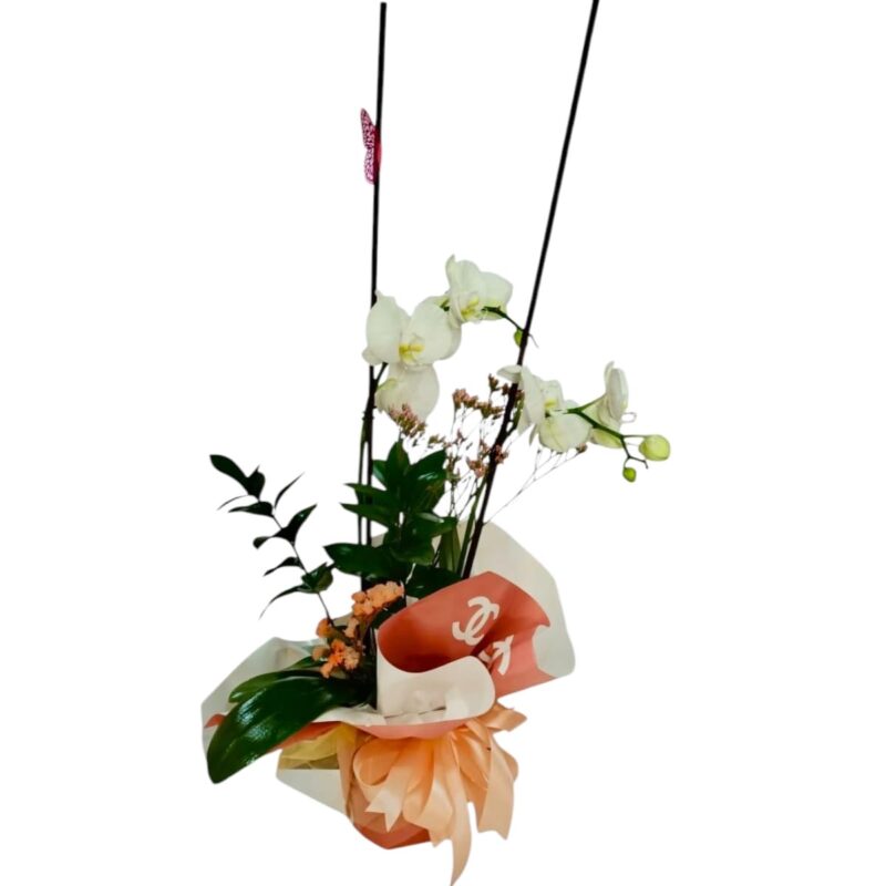 Orquídea Perla Chanel