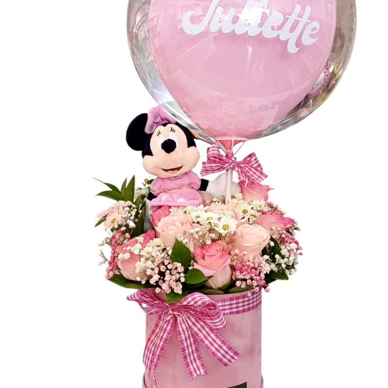 Arreglo Minnie y Las Rosas