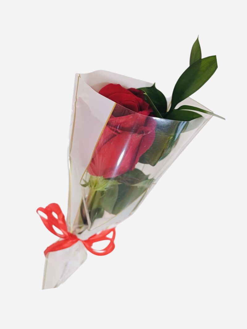Solitario de Rosa Amor del Corazon