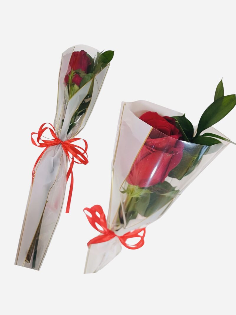 Solitario de Rosa Amor del Corazon