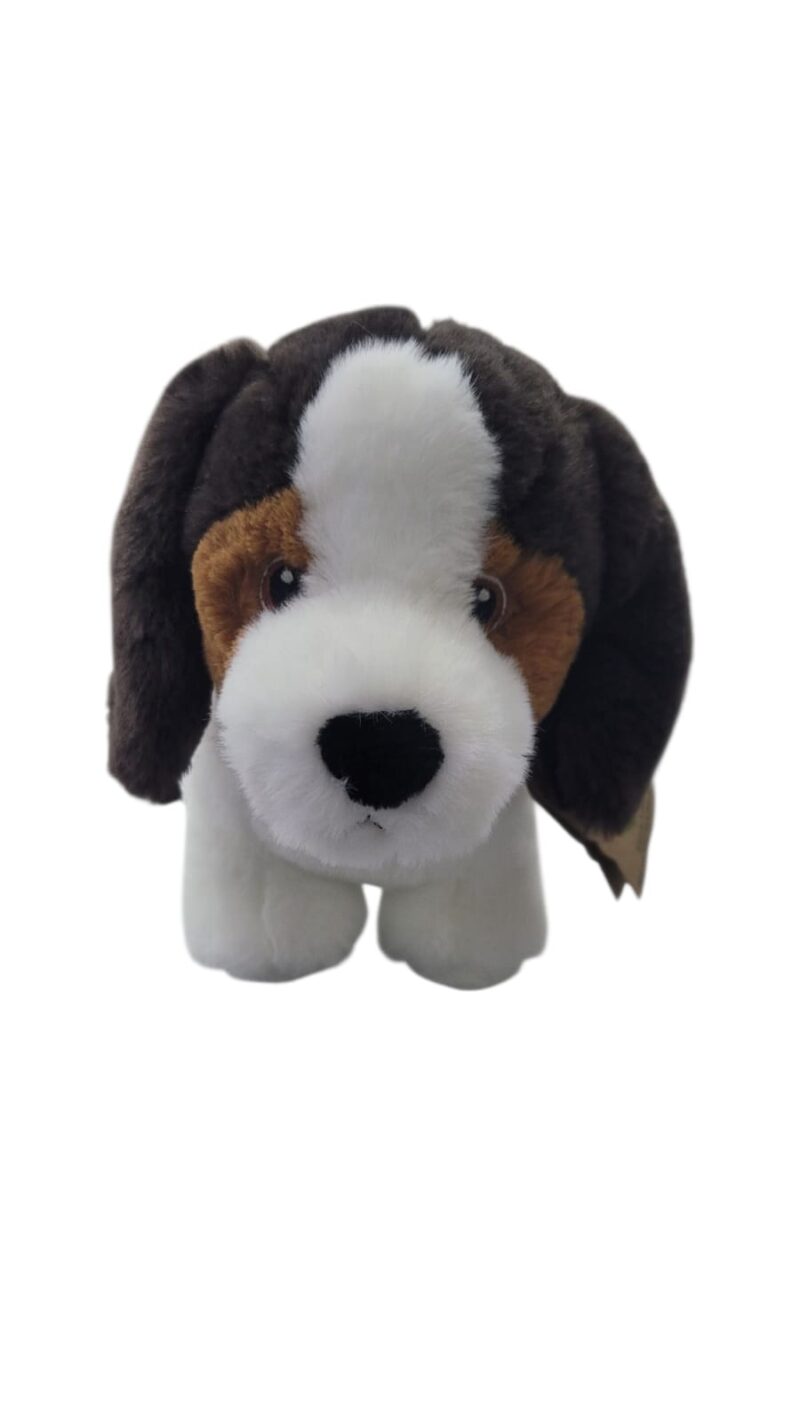 Peluche Perro Paqui. 9 Pulgadas