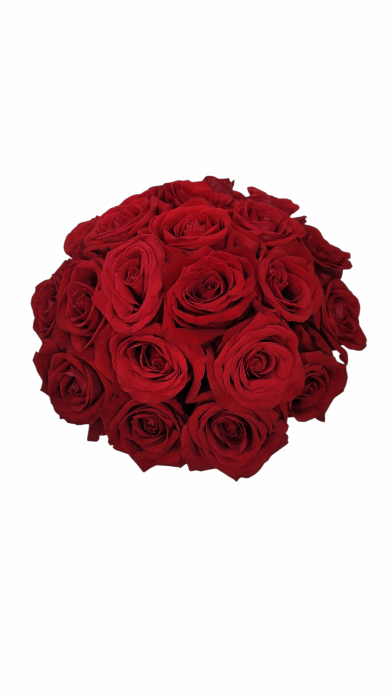 Arreglo Versos Rojos